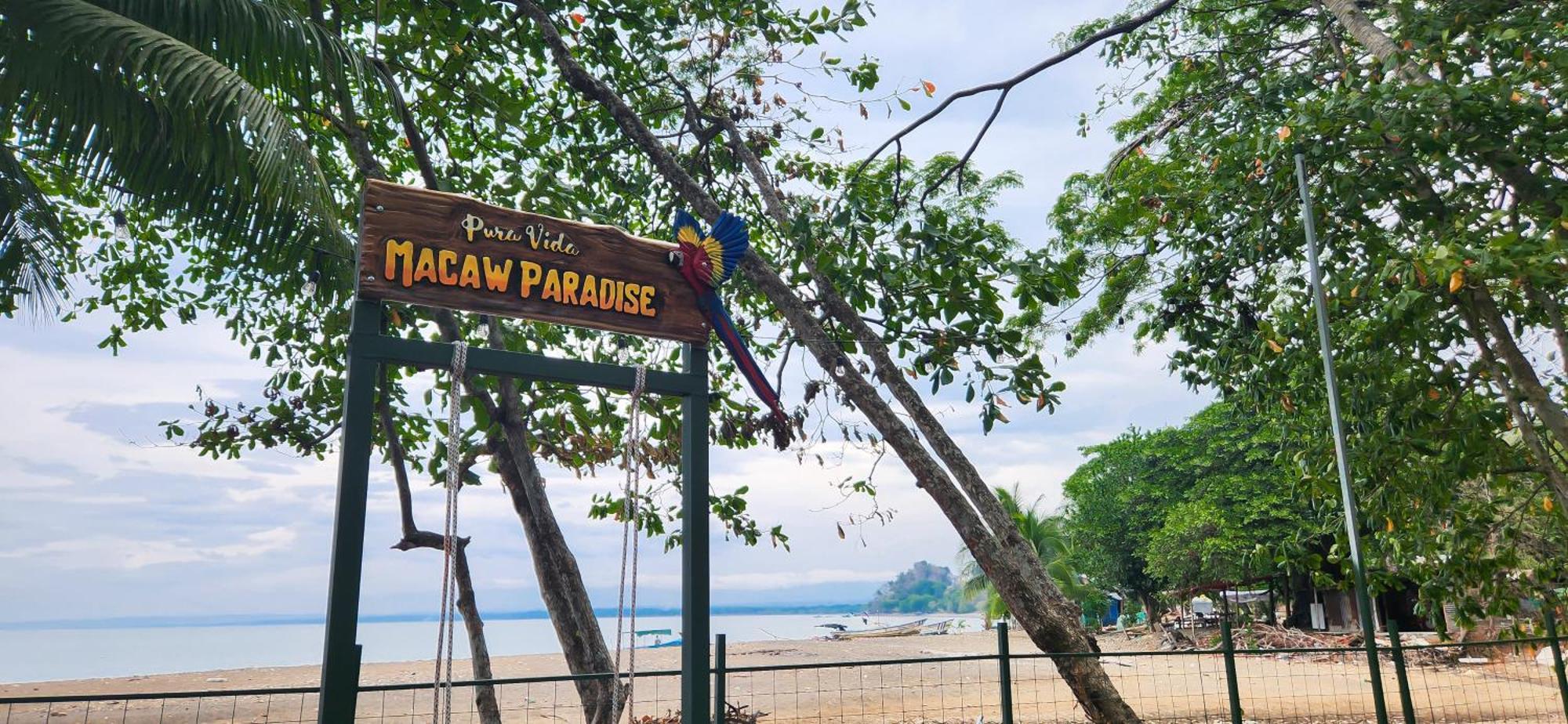 Macaw Paradise Jacó Eksteriør billede